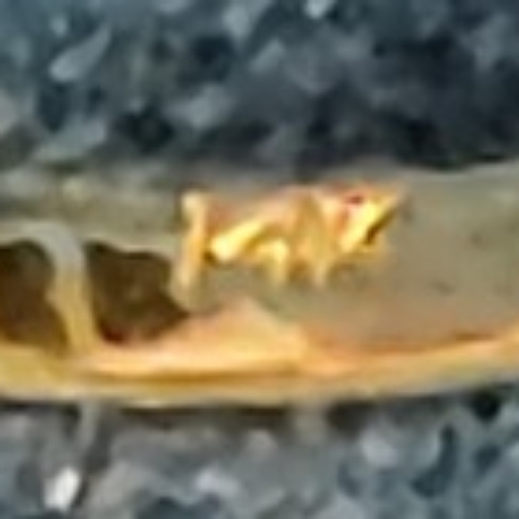 14K ring, ruby, prearl - Picture 6 of 6